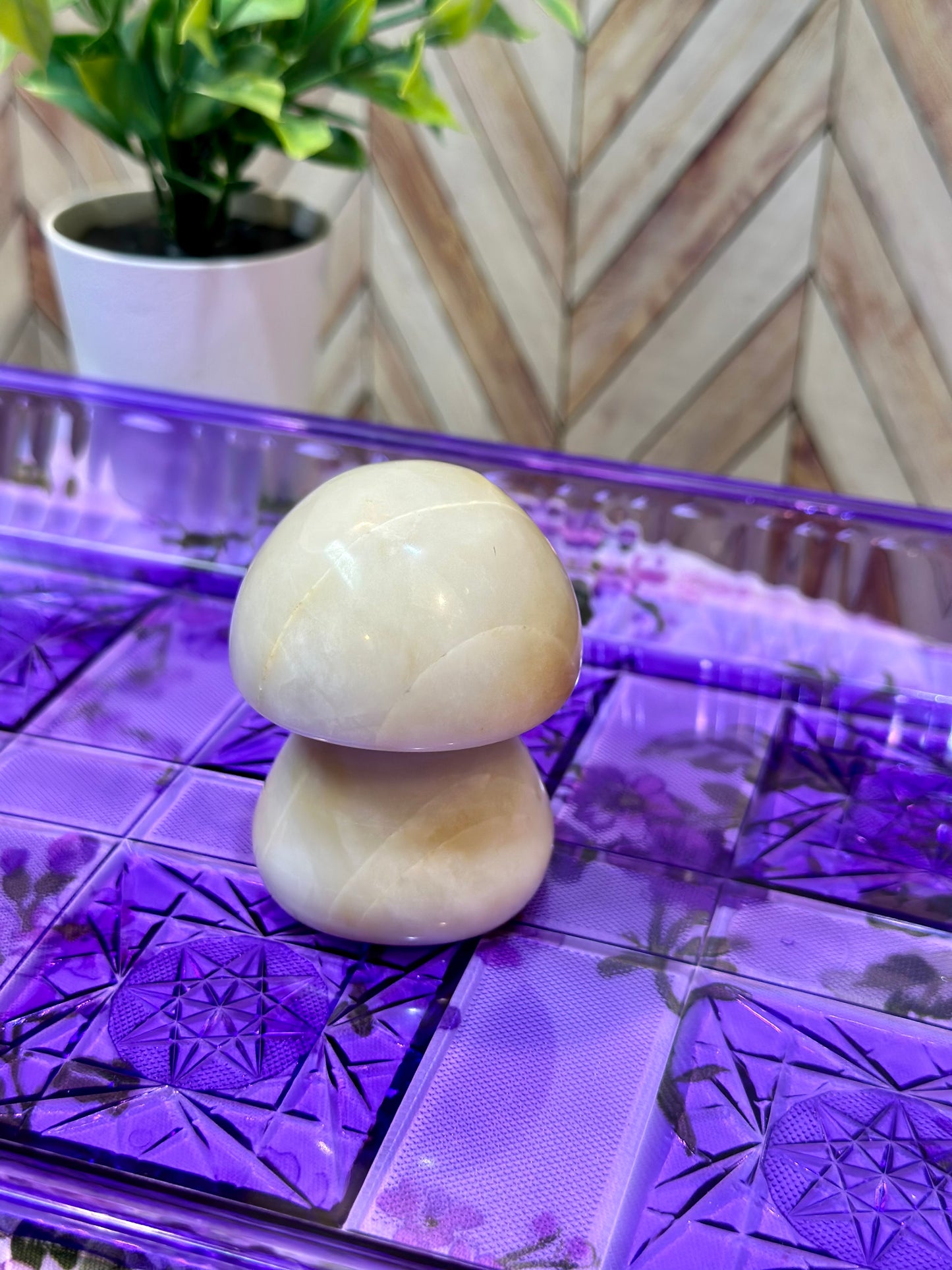 Agate Mushroom